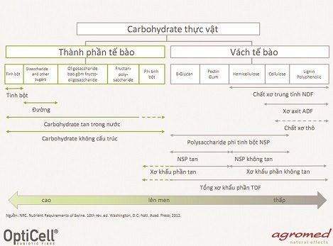 Chat Xo Trong Thuc Cho Heo 001